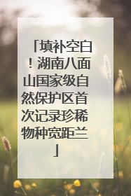 填补空白！湖南八面山国家级自然保护区首次记录珍稀物种宽距兰