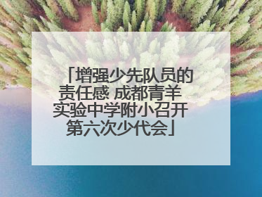 增强少先队员的责任感 成都青羊实验中学附小召开第六次少代会