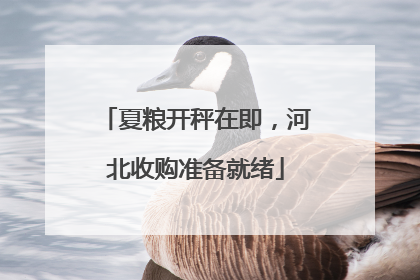 夏粮开秤在即，河北收购准备就绪
