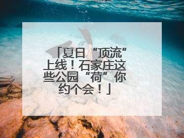 夏日“顶流”上线！石家庄这些公园“荷”你约个会！