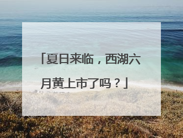 夏日来临，西湖六月黄上市了吗？