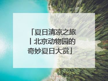 夏日清凉之旅丨北京动物园的奇妙夏日大赏