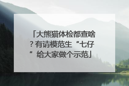 大熊猫体检都查啥？有请模范生“七仔”给大家做个示范