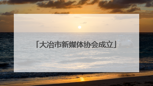 大冶市新媒体协会成立