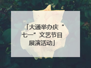 大通举办庆“七一”文艺节目展演活动