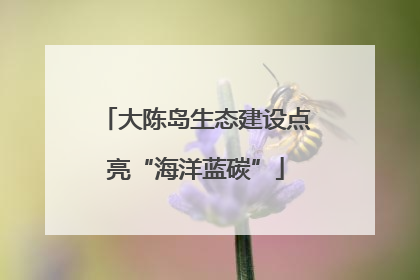 大陈岛生态建设点亮“海洋蓝碳”