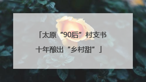 太原“90后”村支书十年酿出“乡村甜”