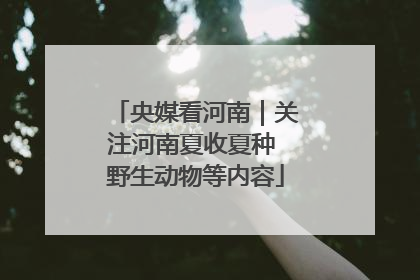 央媒看河南｜关注河南夏收夏种 野生动物等内容