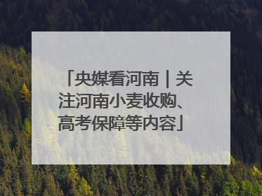 央媒看河南｜关注河南小麦收购、高考保障等内容