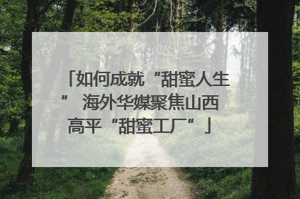 如何成就“甜蜜人生” 海外华媒聚焦山西高平“甜蜜工厂”