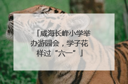 威海长峰小学举办游园会，学子花样过“六一”