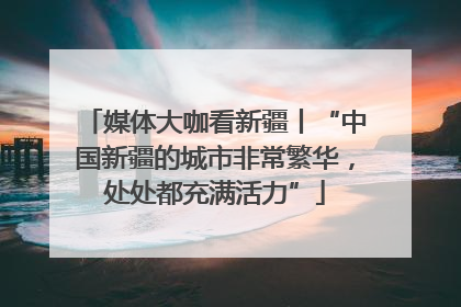媒体大咖看新疆丨“中国新疆的城市非常繁华，处处都充满活力”
