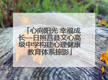 心向阳光 幸福成长—日照莒县文心高级中学构建心理健康教育体系掠影