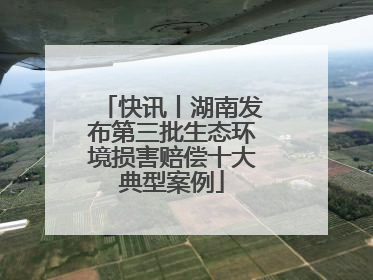 快讯丨湖南发布第三批生态环境损害赔偿十大典型案例
