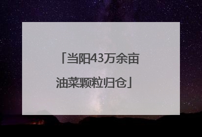 当阳43万余亩油菜颗粒归仓