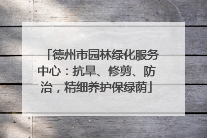 德州市园林绿化服务中心：抗旱、修剪、防治，精细养护保绿荫