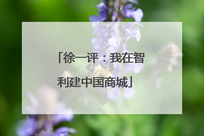 徐一评：我在智利建中国商城