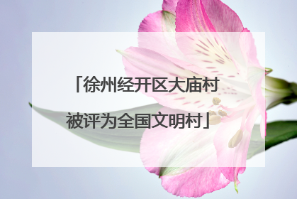 徐州经开区大庙村被评为全国文明村