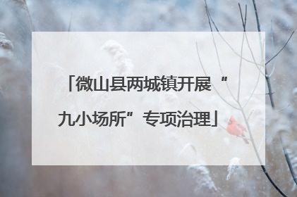 微山县两城镇开展“九小场所”专项治理