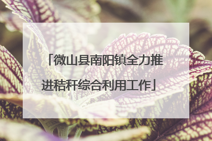 微山县南阳镇全力推进秸秆综合利用工作