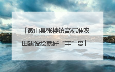 微山县张楼镇高标准农田建设绘就好“丰”景