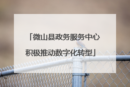 微山县政务服务中心积极推动数字化转型