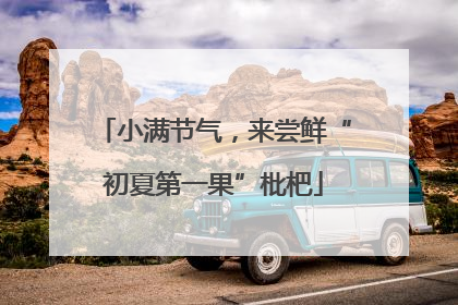 小满节气，来尝鲜“初夏第一果”枇杷