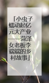 小虫子蠕动起亿元大产业——菏泽女老板李端端的乡村故事