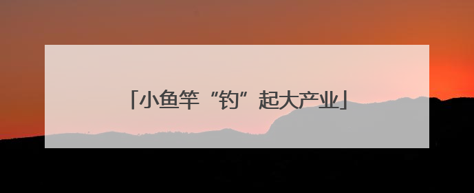 小鱼竿“钓”起大产业
