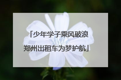 少年学子乘风破浪 郑州出租车为梦护航