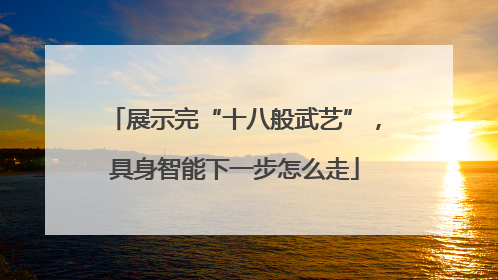 展示完“十八般武艺”，具身智能下一步怎么走