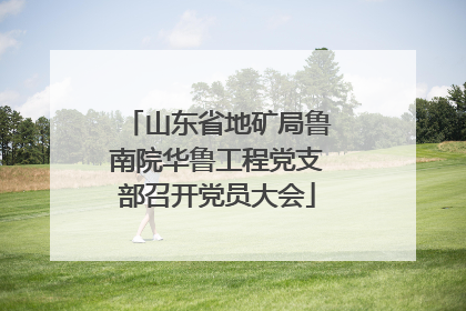 山东省地矿局鲁南院华鲁工程党支部召开党员大会