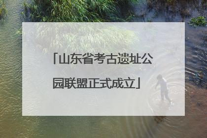 山东省考古遗址公园联盟正式成立