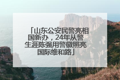 山东公安民警亮相国新办，24年从警生涯陈强用警徽照亮国际维和路