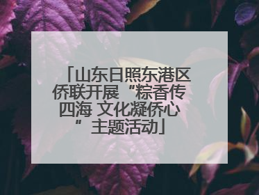 山东日照东港区侨联开展“粽香传四海 文化凝侨心”主题活动
