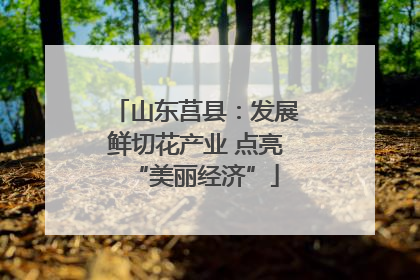 山东莒县：发展鲜切花产业 点亮“美丽经济”