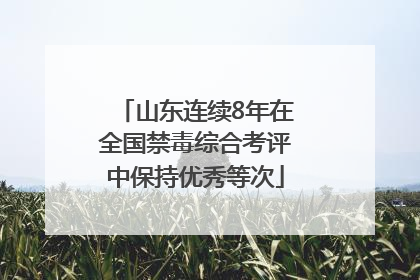 山东连续8年在全国禁毒综合考评中保持优秀等次