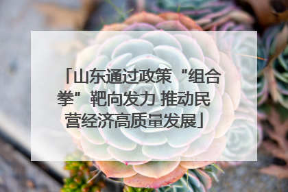 山东通过政策“组合拳”靶向发力 推动民营经济高质量发展