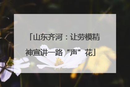 山东齐河：让劳模精神宣讲一路“声”花