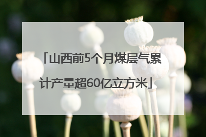 山西前5个月煤层气累计产量超60亿立方米