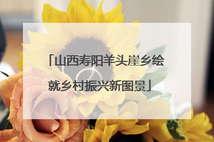 山西寿阳羊头崖乡绘就乡村振兴新图景