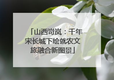 山西岢岚：千年宋长城下绘就农文旅融合新图景