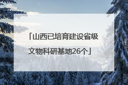 山西已培育建设省级文物科研基地26个