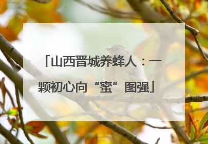 山西晋城养蜂人：一颗初心向“蜜”图强