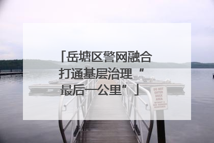 岳塘区警网融合 打通基层治理“最后一公里”