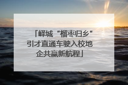 峄城“榴枣归乡”引才直通车驶入校地企共赢新航程