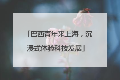 巴西青年来上海，沉浸式体验科技发展