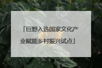 巨野入选国家文化产业赋能乡村振兴试点