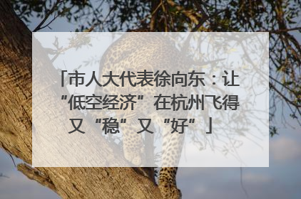 市人大代表徐向东：让“低空经济”在杭州飞得又“稳”又“好”