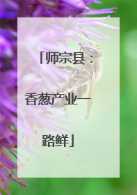 师宗县：香葱产业一路鲜